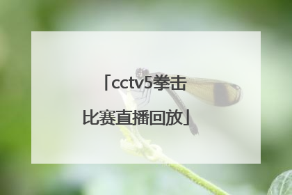 「cctv5拳击比赛直播回放」CCTV5直播回放